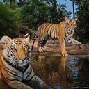 Rory turner - @RoryJ96 - Twitter