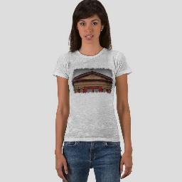 AllAcrossAmeric's profile picture. Mixed media artist.Specializing in historic architecture.