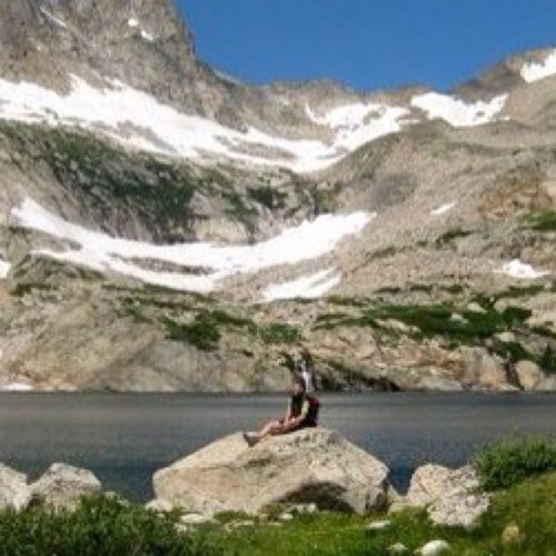 WilsonNP's profile picture. 