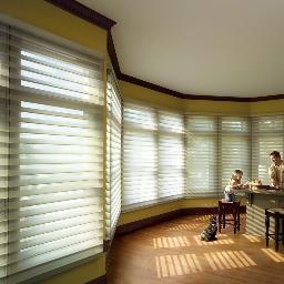 NowShade's profile picture. Sales, On-site repairs, & Installation of ALL window treatments including blinds, shades, shutters, draperies, and awnings.  Free in-home consultation.