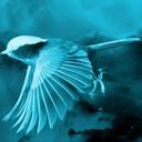 Tim Saylor Music - @myWTTOW - Twitter