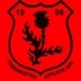 Duddingston Athletic (@duddingstonathl) Twitter profile photo