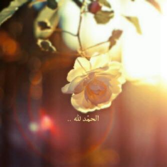 Follow me !