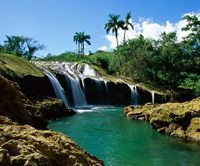 SaepudinMang's profile picture. 