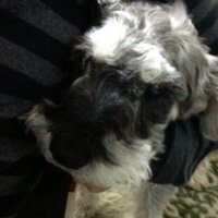 HIGUCHI (@1_chldai) 's Twitter Profile