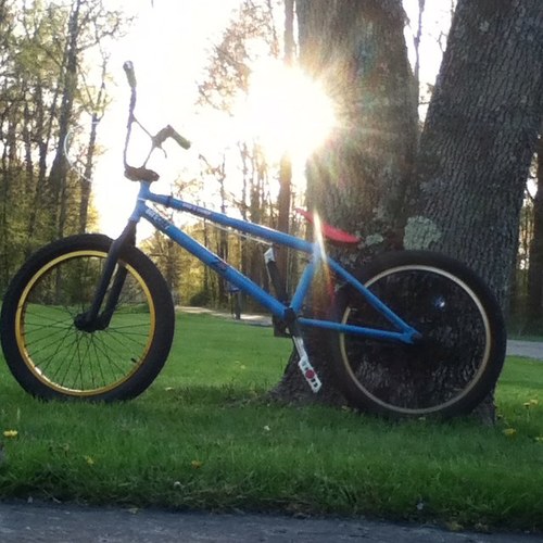 noahkleptach1's profile picture. Wassup, i ride little kids bikes, #ridaz, #throwbarsnotbikes #filming