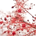 Cody Jarrett - @Cody18J - Twitter