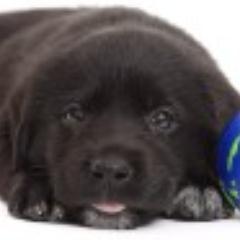 ubunto8's profile picture. 59  retired