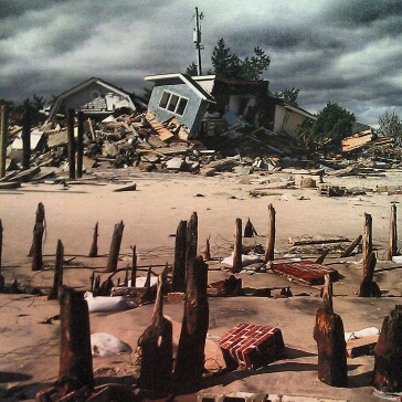 NY_calling's profile picture. 