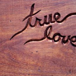 tangotl's profile picture. Hatred stirs up dissension, but love covers over all wrongs..