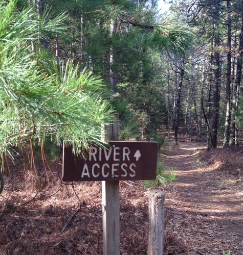 govtbonds's profile picture. 