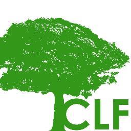 CLFCalera's profile picture. 