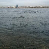 maxMax (@mmjalichev) 's Twitter Profile