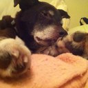 Bryan Reilly - @reilus73 - Twitter