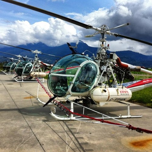 gon192t's profile picture. 