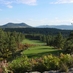 Bear Dance (@beardancegolf) Twitter profile photo