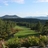 BearDanceGolf's profile image
