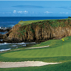 edchang's profile picture. 