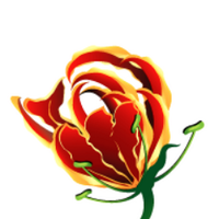 Zimbabwe.com (@zimbabwedotcom) 's Twitter Profile