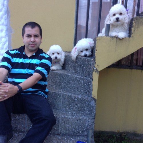 pedroestalvarez's profile picture. Aviación