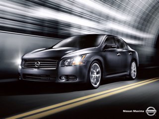 1280_alaa's profile picture. 