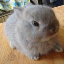 Annette Edmonds - @AnnetteEdmonds3 - Twitter