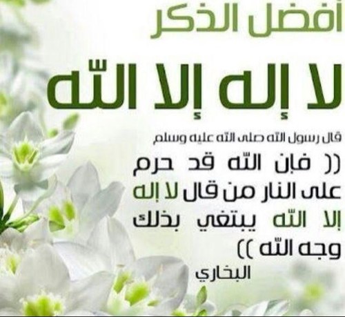 سبحان الله عدد ما أحصى كتابه ، سبحان الله ملء ما أحصى كتابه ، سبحان الله عدد كل شيء ، سبحان الله ملء كل شيء
