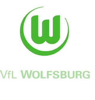 Welkom bij de Nederlandse Wolven || Officiële VfL Wolfsburg NL || de topspeler van VfL Wolfsburg is Bas Dost ||