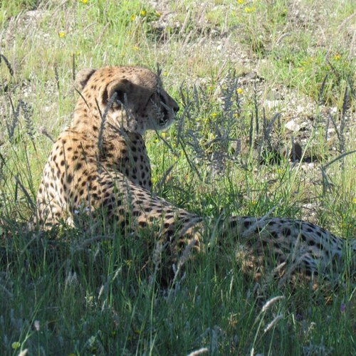 sanguine60's profile picture. 