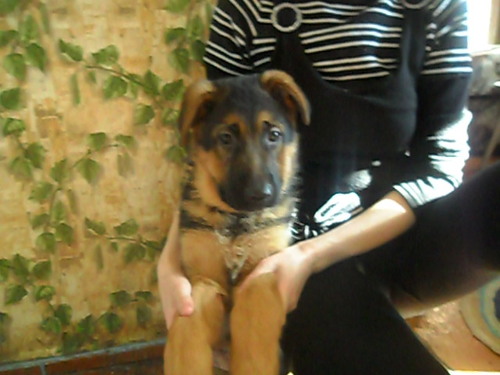 nadia630115's profile picture. Живу бедно...Сыр с плесенью, вино старое, машина без крыши и телефон без кнопок...Кризис, чё...