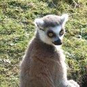 george barrow - @sqbdu10 - Twitter