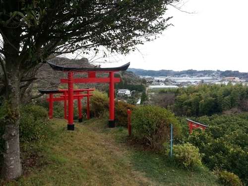 三角町にある真っ赤な可愛い神社です。後世に継ぎたい大切な場所です。 Tamamaru Inari jinja est un petit sanctuaire shinto. Il est situé à Misumi-machi,Kumamoto,au Japon.