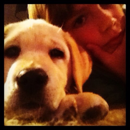 willemwibaut's profile picture. psv/bloemendaal/11jaar/volg me ook op insta!!/ MUSIC!!