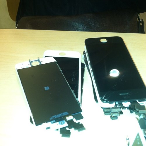 waacml's profile picture. 