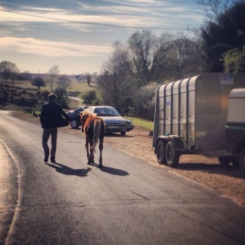 keef_wats's profile picture. Art Director @britishgq From London to Hong Kong and back again. All views are my own