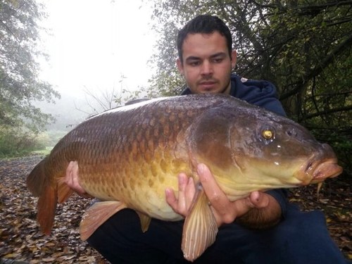 Wright Baits are a new exciting bait rolling company producing quality baits at low prices