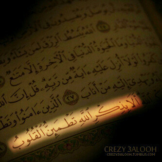 لا الہ الا اللہ وحده لاشريك لہ لہ الملك ولہ الحمد وهو علىَ كل شيء قدير♡