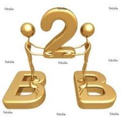 Marketing manager in online B2B Marketplace
