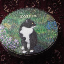 lizagrinning's profile picture. I paint pet portraits on stepping stones.