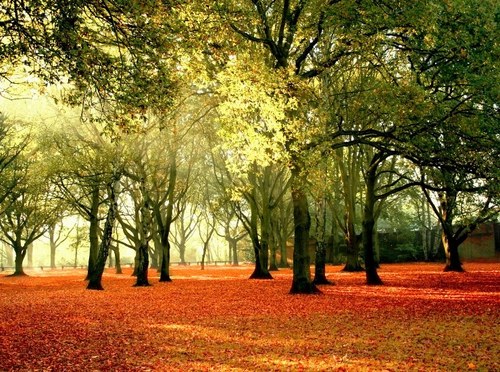Tweetsite in two languages ♦♦♦♦♦♦►/ #Nederlands / #English
~ Travel the world of Nature with pictures ~