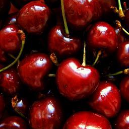 RubyWoo68's profile picture. 