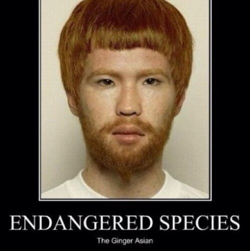 AntiJokeLADS's profile picture. 