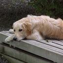 Aaron Sommer - @L0nEM0TL - Twitter