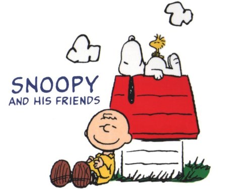 スヌーピーと仲間たちの心に響く言葉 Snoopychiaki777 Twitter