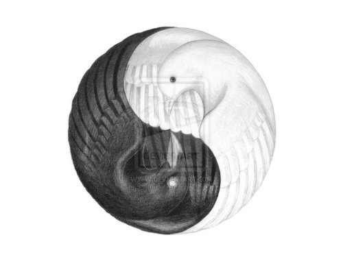 Brandykc913's profile picture. Wife/partner, parent, bird watcher, my dogs own me!