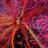 CarnacLucile's profile image