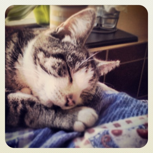 metouttrigger's profile picture. 