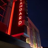 The Standard Albany (@standardalbany) 's Twitter Profile