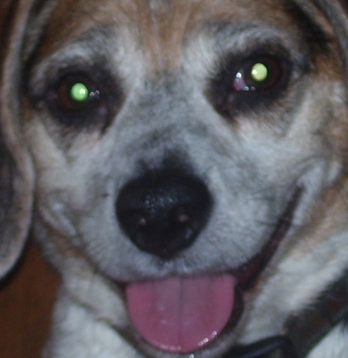 Avoidrealities's profile picture. Cranky cripple