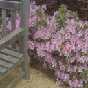 mary ellen bond - @bondmaryellen - Twitter